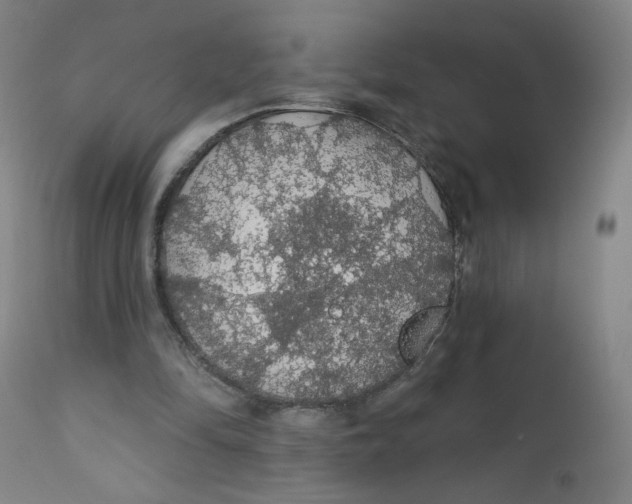 X0000112160294200909041133