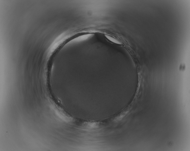 X0000112160295200909041133