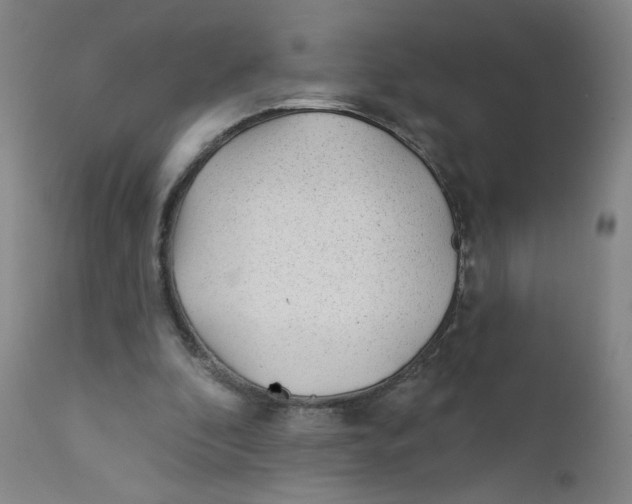 X0000112160296200909041133