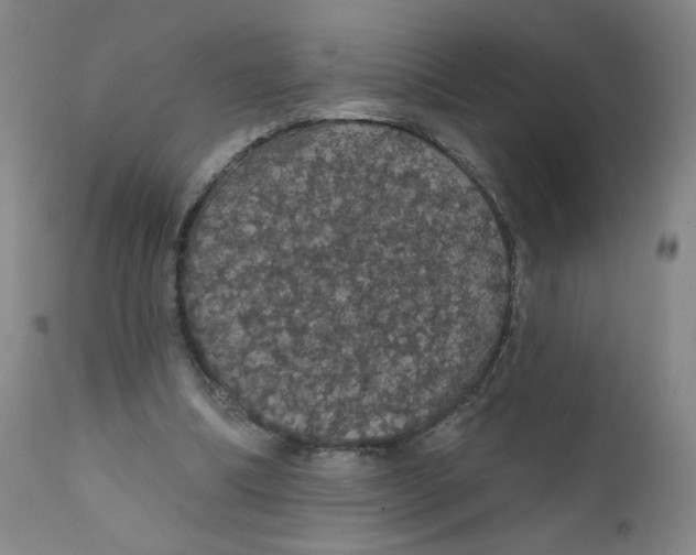X0000112160298200909041133