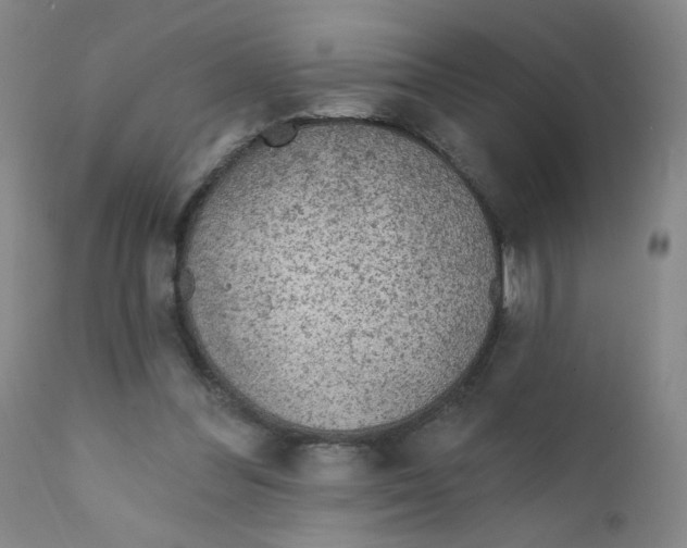 X0000112160300200909041133