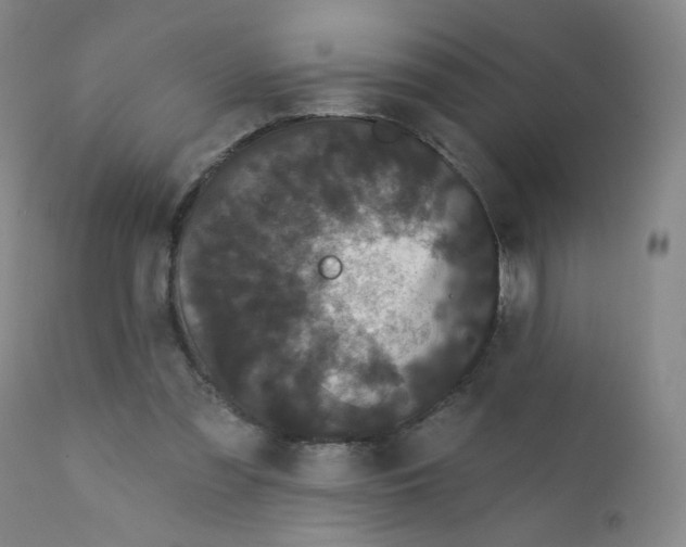 X0000112160301200909041133