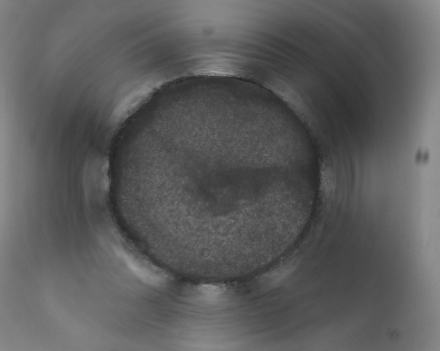 X0000112160302200909041133