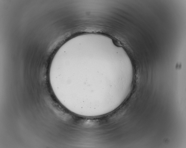 X0000112160303200909041133