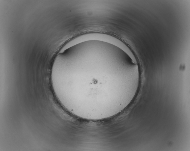 X0000112160305200909041133