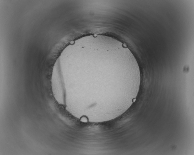 X0000112160307200909041133