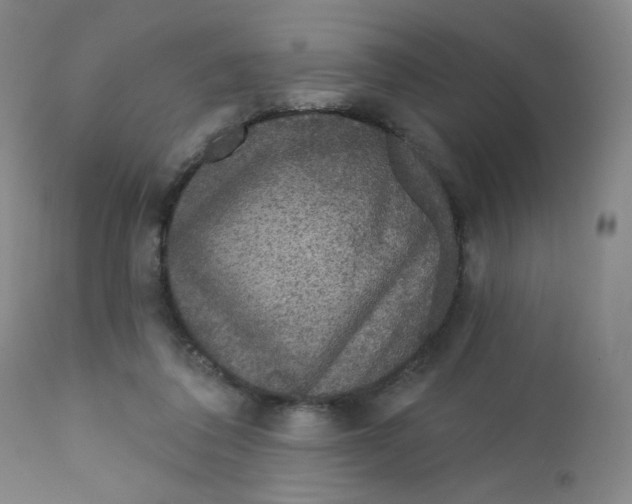 X0000112160308200909041133