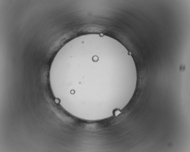 X0000112160309200909041133