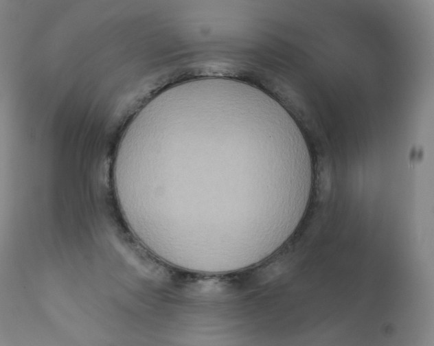 X0000112160310200909041133