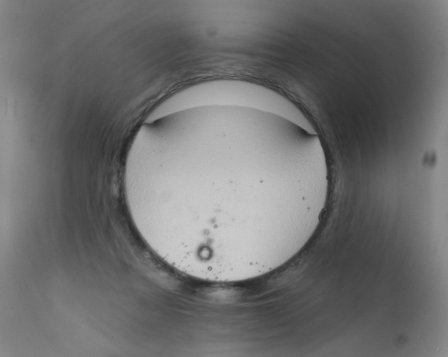 X0000112160313200909041133
