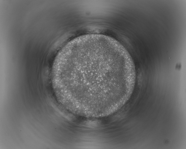 X0000112160314200909041133