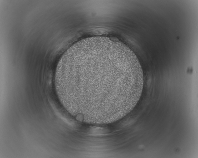 X0000112160315200909041133