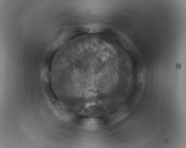 X0000112160316200909041133