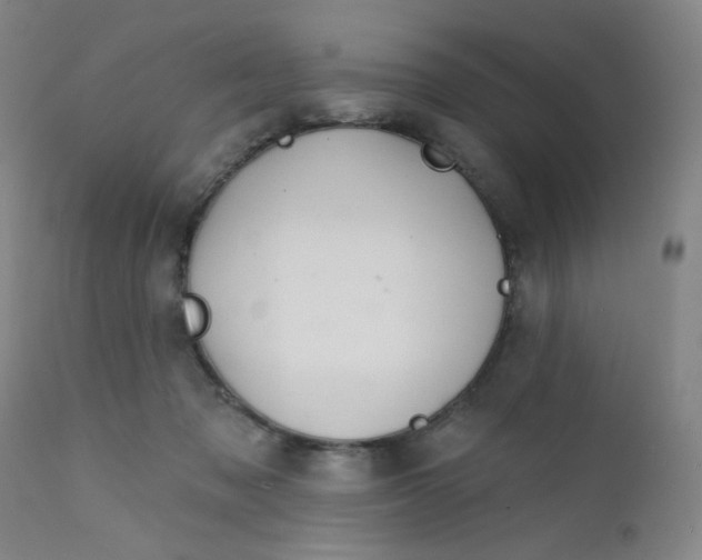X0000112160317200909041133