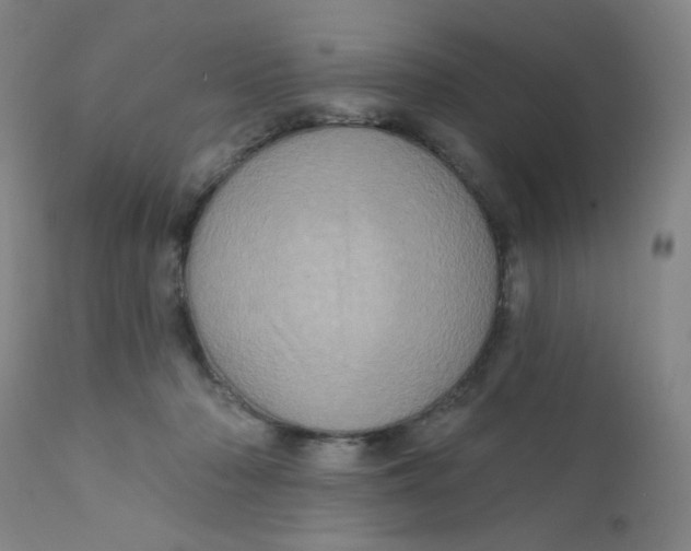 X0000112160318200909041133