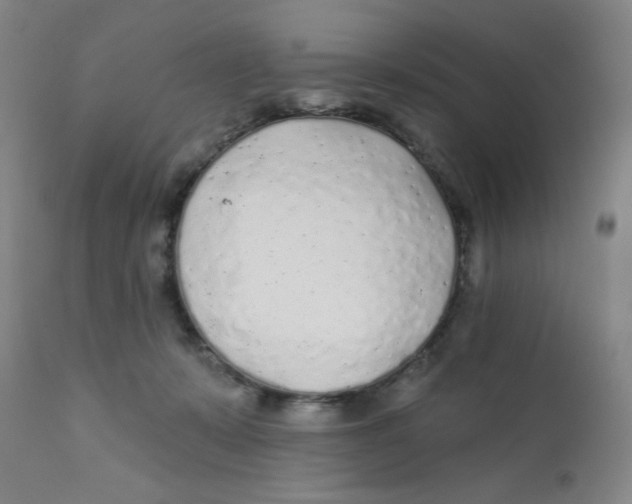 X0000112160319200909041133