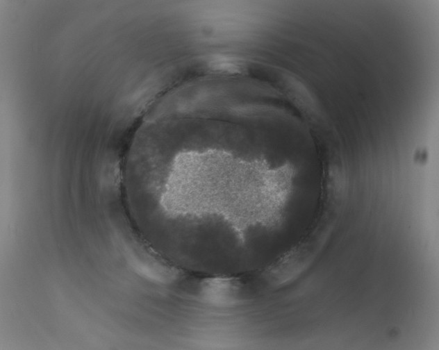 X0000112160320200909041133