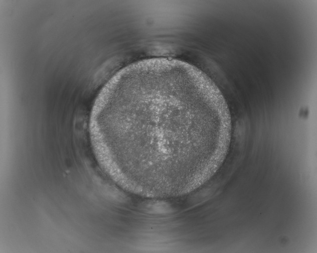 X0000112160322200909041133