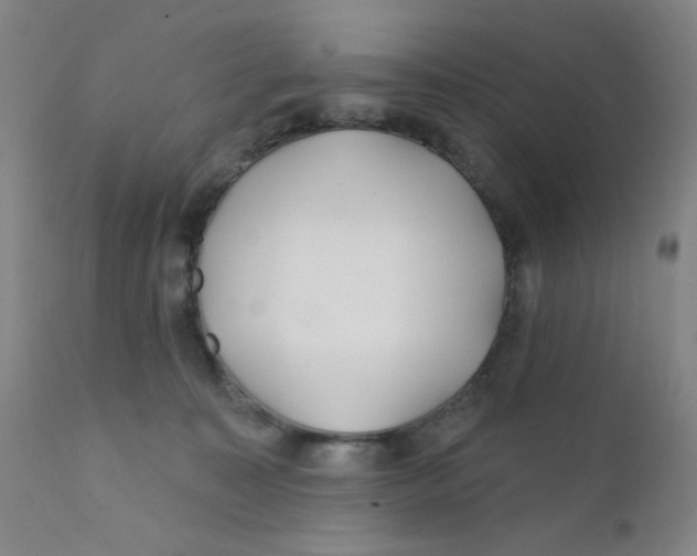 X0000112160323200909041133