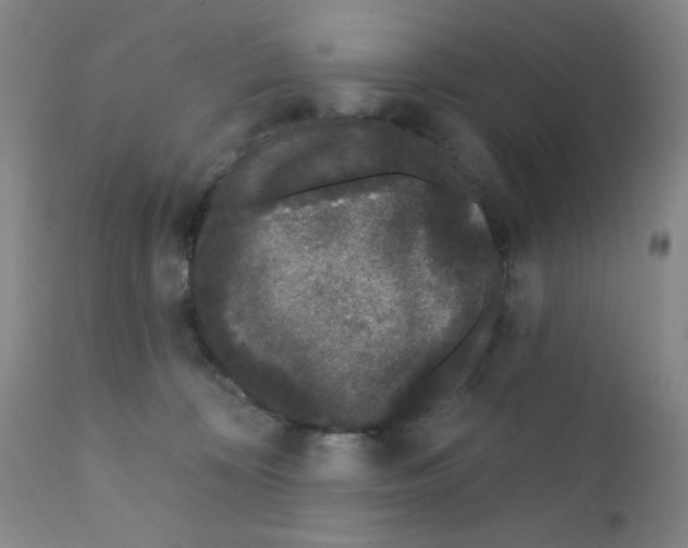 X0000112160324200909041133