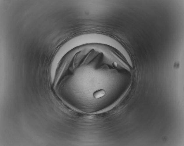 X0000112160325200909041133