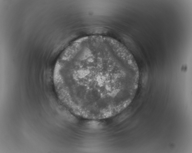 X0000112160326200909041133