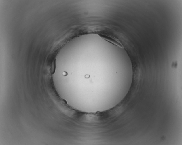X0000112160327200909041133