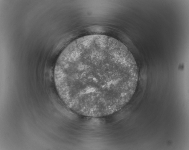 X0000112160330200909041132