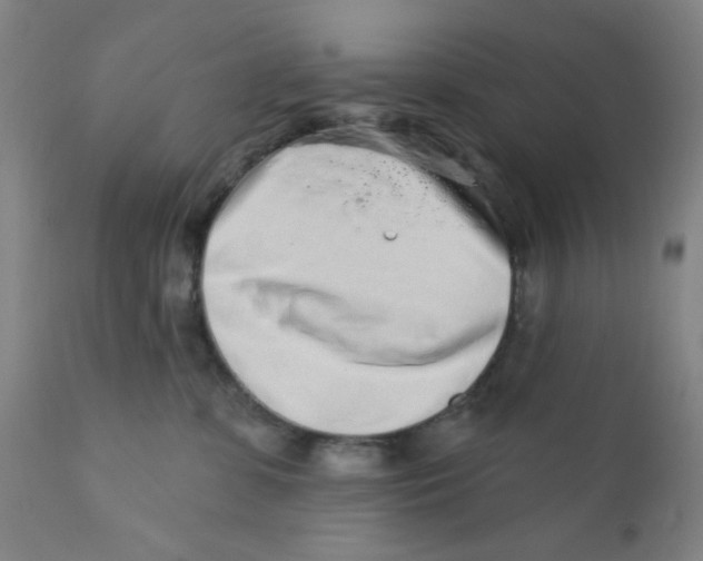 X0000112160331200909041132
