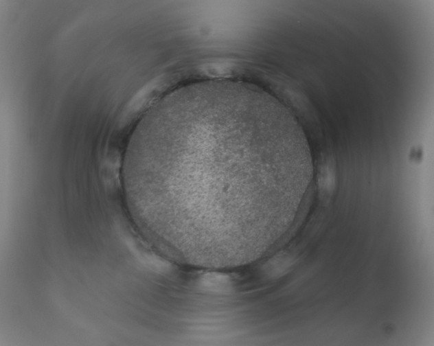 X0000112160332200909041132
