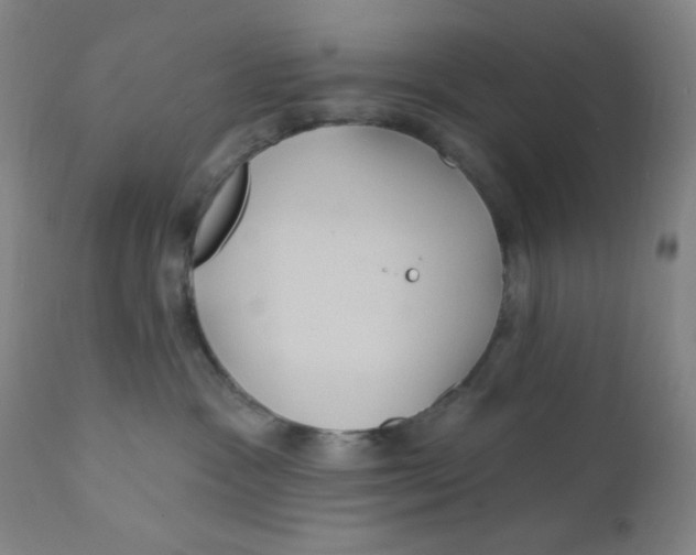 X0000112160333200909041132