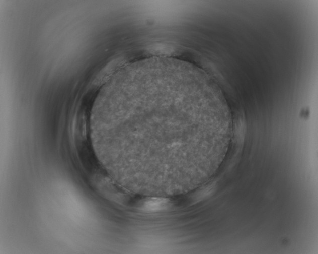 X0000112160334200909041132