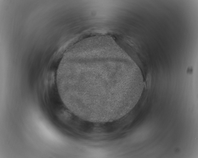 X0000112160335200909041132