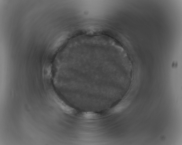 X0000112160336200909041132
