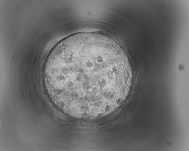 X0000112160337200909041132