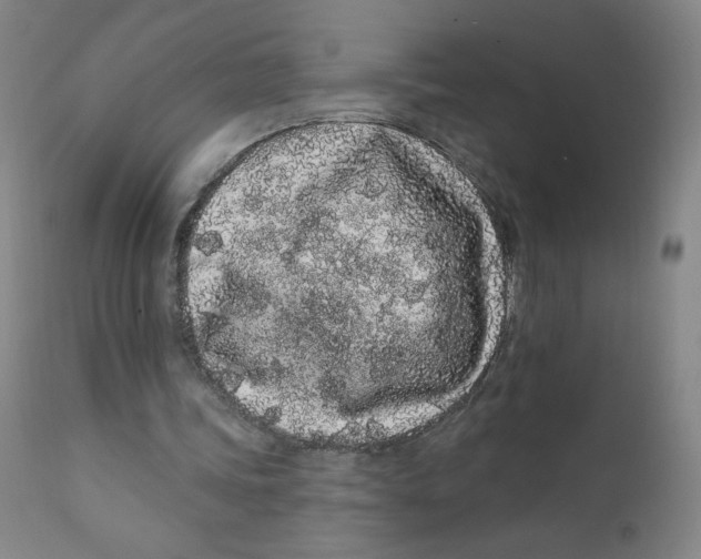 X0000112160339200909041132