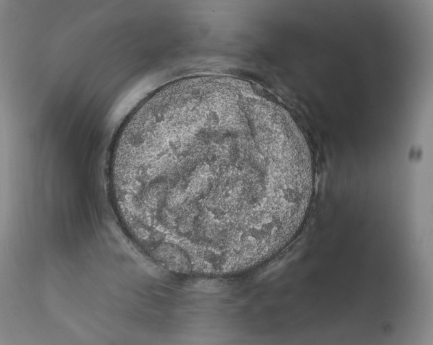 X0000112160341200909041132