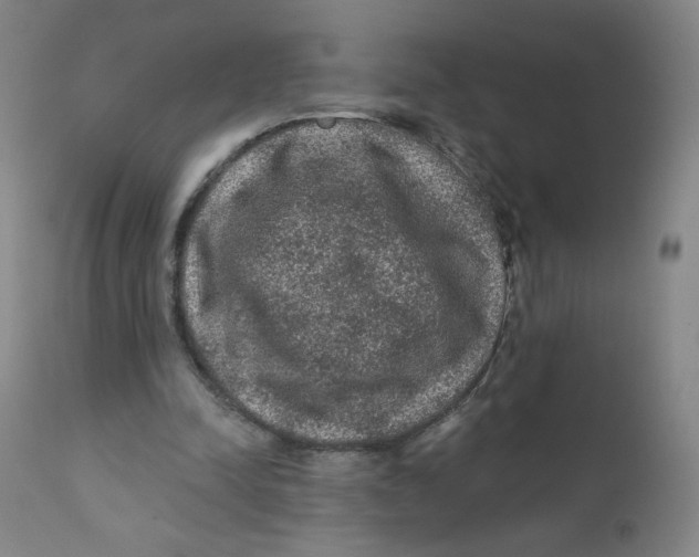 X0000112160342200909041132