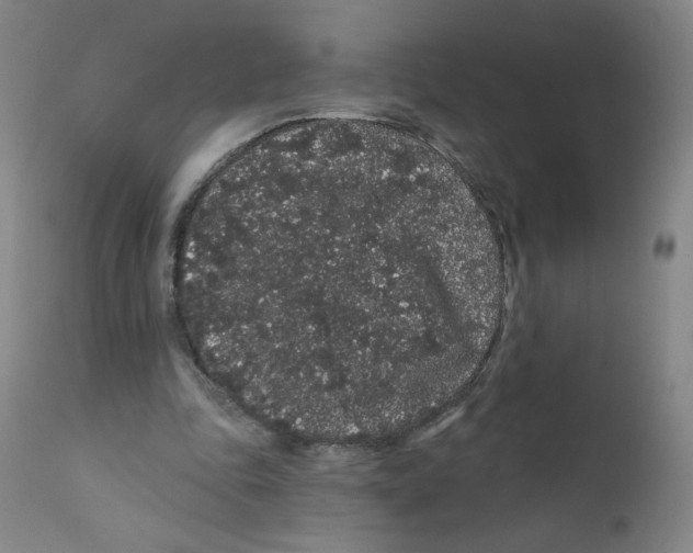 X0000112160343200909041132