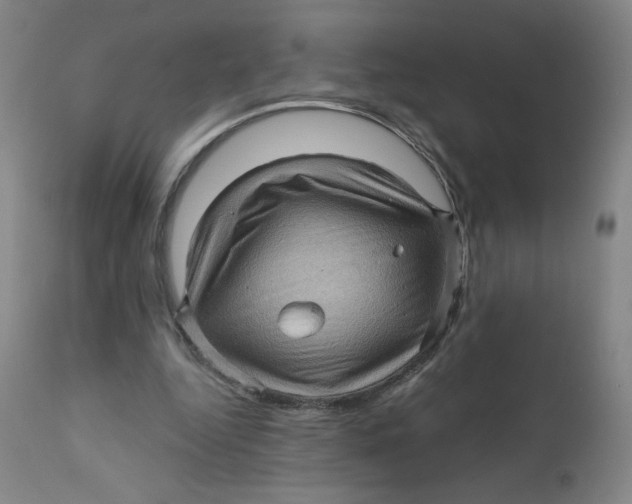 X0000112160344200909041132