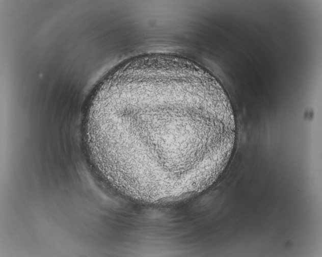 X0000112160346200909041132