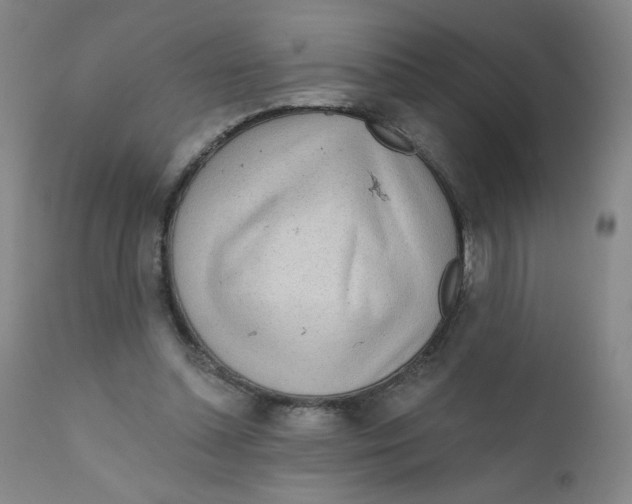 X0000112160348200909041132