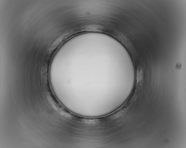 X0000112160349200909041132