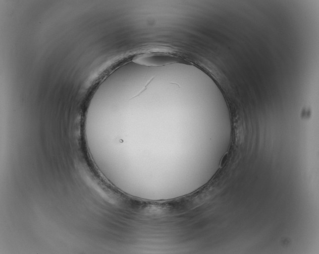 X0000112160350200909041132