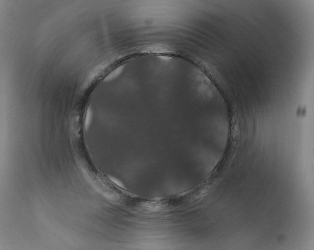 X0000112160351200909041132