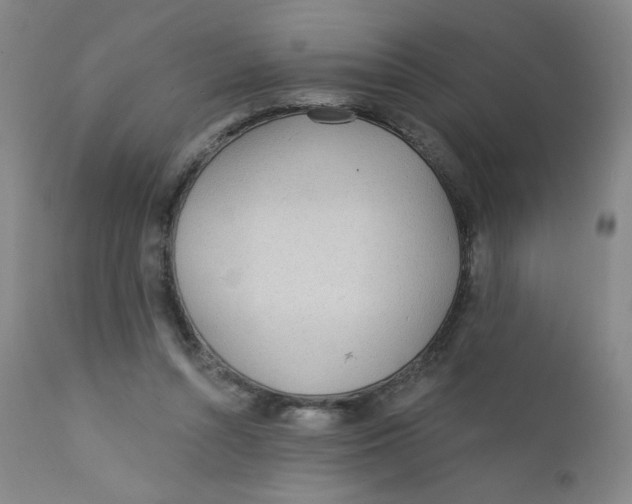 X0000112160352200909041132