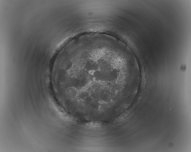 X0000112160354200909041132