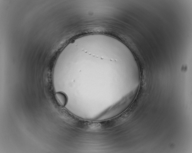X0000112160355200909041132