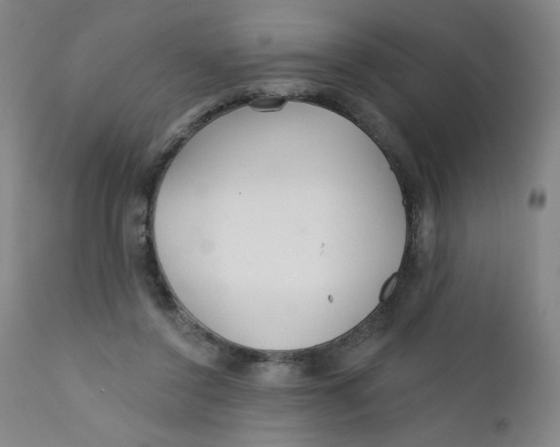 X0000112160356200909041132