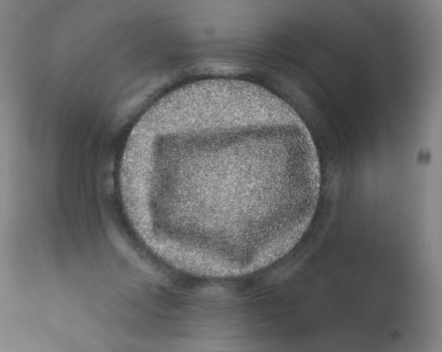 X0000112160358200909041132